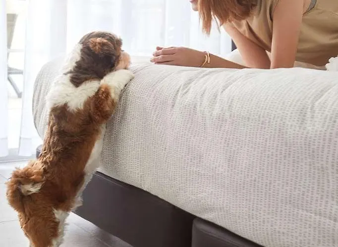 Innside Fuerteventura